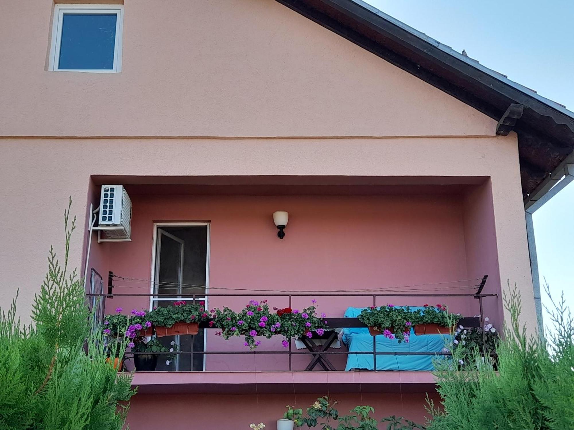 Soba Lavanda Kladovo Pokój zdjęcie
