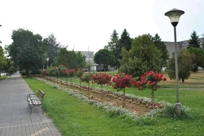 Soba Lavanda Kladovo Zewnętrze zdjęcie